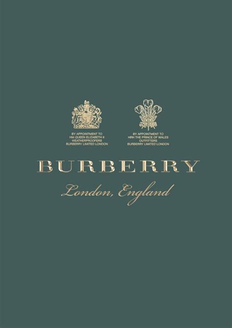 burberry brand guidelines pdf|Burberry policy and procedures.